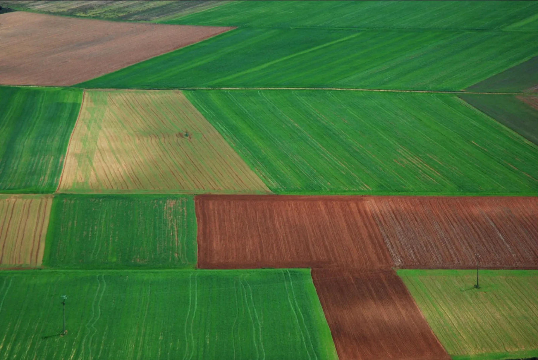 Vista aérea de parcelas agrícolas verdes y tierras cultivadas que inspiraron la identidad de la feria
