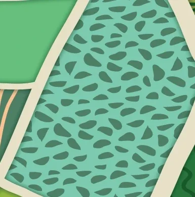 Detalle de la trama de siembra